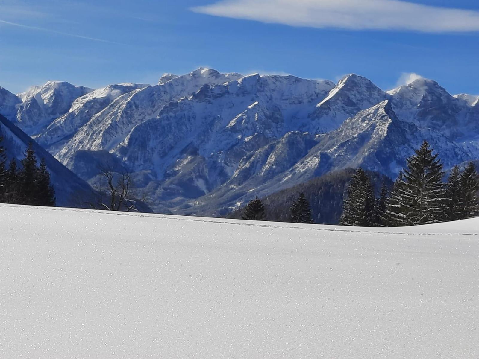 Pension Alpenhaus Фордерстодер Экстерьер фото
